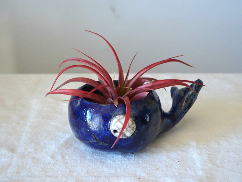 Blu vaso porta piante ceramica raku polipo