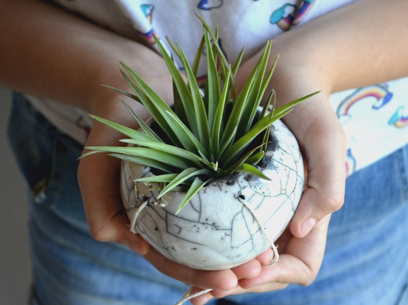 Vaso Vasi da appendere in ceramica raku