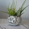 Vaso gattino ceramica raku
