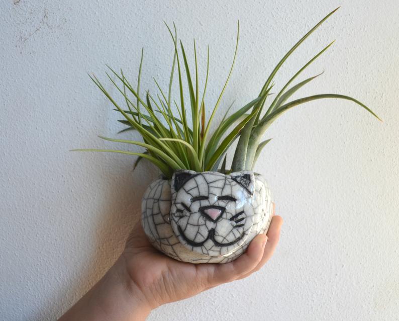 Vaso gattino